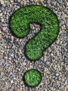 question, counselor, lawn, pebbles, question mark, nature, beautiful wallpaper, green, gray, round, background, weed, gravel, texture, iphone wallpaper, question, question mark, question mark, question mark, question mark, question mark