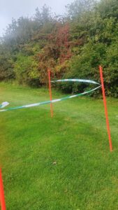 bb148447-9684-480f-a5f9-d973c9d1cad7